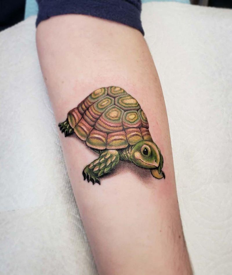 Pretty Tortoise Tattoos Hope to Bring You Luck