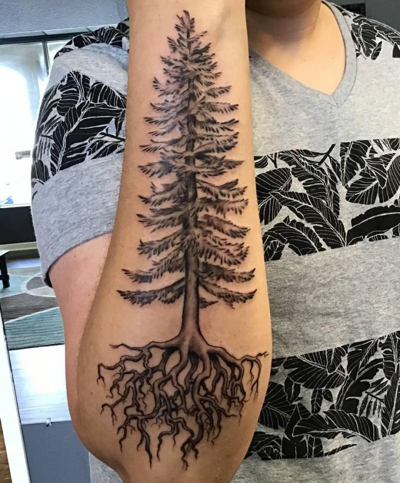 30 Perfect Douglas Fir Tree Tattoos to Inspire You