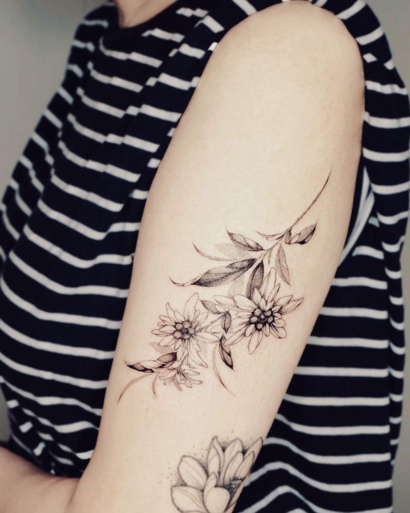 30 Unique Edelweiss Tattoos You Must Try