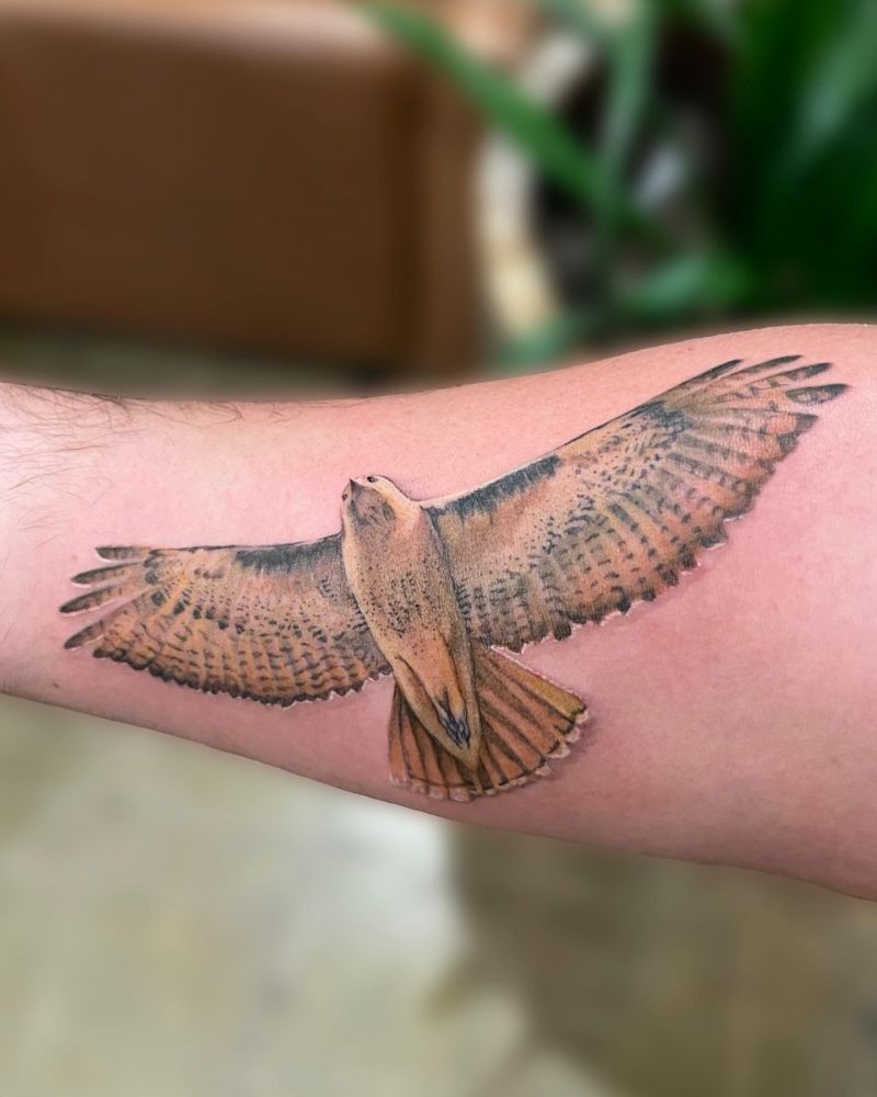 30 Amazing Hawk Tattoos Make You Attractive