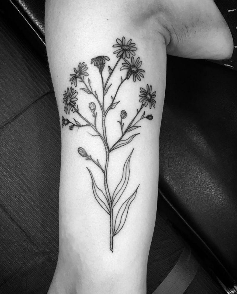 30 Pretty Aster Tattoos for Your Inspiration | Style VP | Page 18