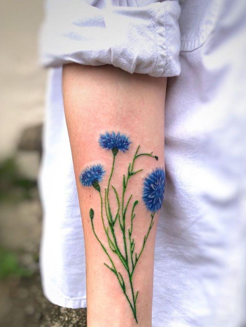 30 Pretty Cornflower Tattoos to Inspire You | Style VP | Page 11