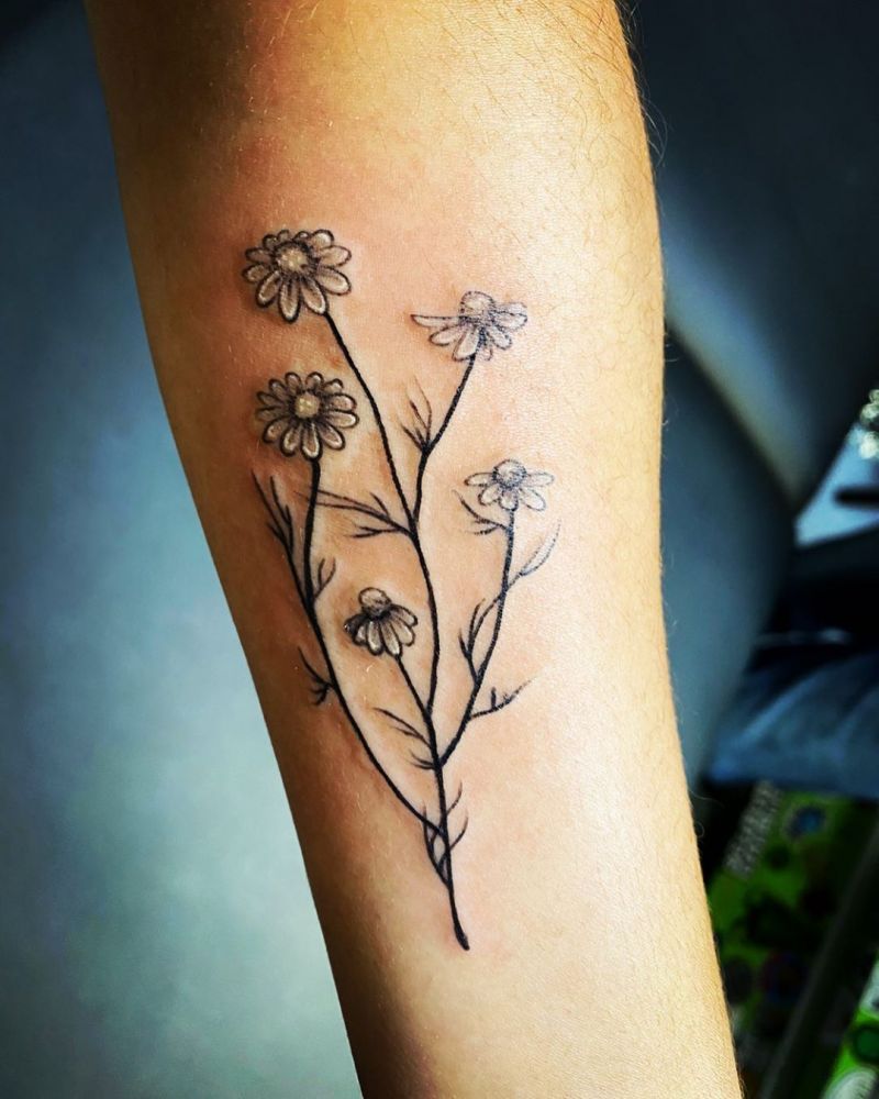 30 Pretty Chamomile Tattoos You Shouldn’t Miss | Style VP | Page 19